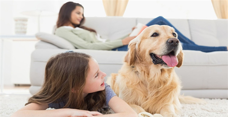 運營干貨 | 狗床被誤判為農藥殺蟲劑?附新手后臺實操法! 運營策略 | 狗床被誤判為農藥殺蟲劑?附新手后臺實操法!