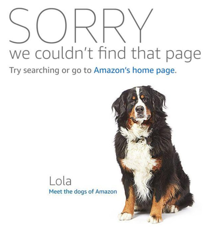 Listing信息被篡改，添加違禁詞導致變狗應該如何自救？